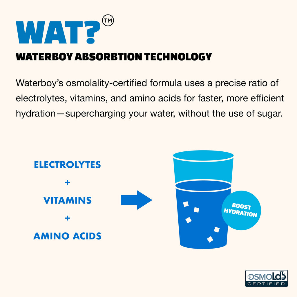 Weekend Recovery - 12ct Sample
